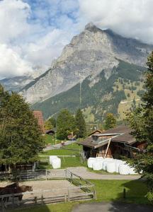 Wesley Panorama - Penthouse for Family & Friends