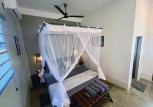 Surface Stay & Diving -5 min to Silent beach