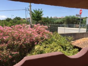 Il Fenicottero Rosa img21