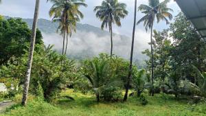 Pavans Rainy Days Home Stay