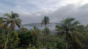 Pavans Rainy Days Home Stay