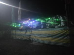 Delo pine nest campsite