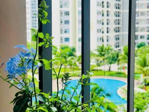 Cams house Studio căn hộ nhỏ Vinhomes Grand Park