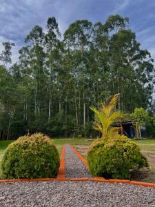 Cabana de teto de vidro