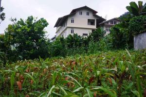 Springhill Farmstead