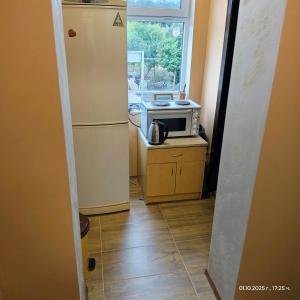 Edelvais1 Еделвайс1