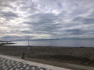 Vollga Cozy Apartment