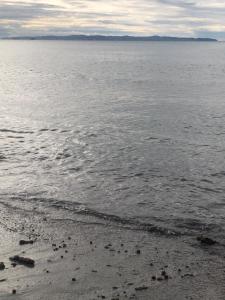 Vollga Cozy Apartment