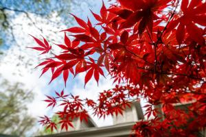 The Clubhouse Hideaway Upper