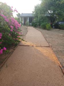 Sigiri Arana Sigiriya