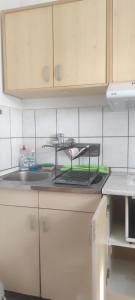 Centar Apartman Trivanović tipa studio