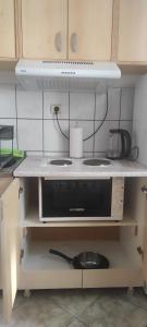 Centar Apartman Trivanović tipa studio