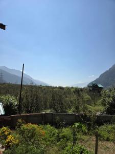 Flugafen B&B- A Peaceful home in Apple Orchards