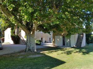 Avignon Grand Mas XXL avec Piscine, parc et Mazet