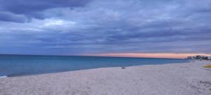 chott meriem cozy apartment