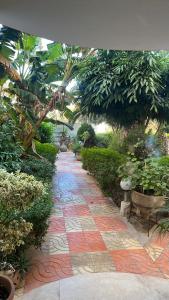 chott meriem cozy apartment