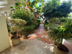 chott meriem cozy apartment