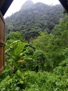 Camping site & Swimming Pool