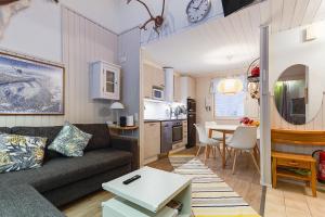 Kätkäläinen E1 Visit Levi