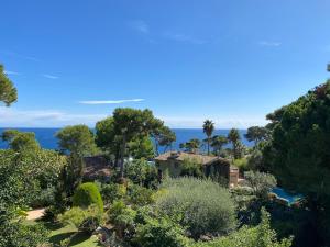 Palmiers et pins face à la mer dans une Villa classée du Cap d Antibes