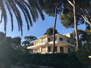 Palmiers et pins face à la mer dans une Villa classée du Cap d Antibes