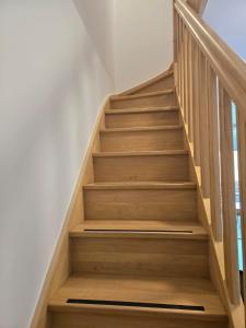 Spacious Modern Duplex Sunny View Ski & Hikes D52