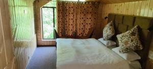 houseboat star ruby snow view