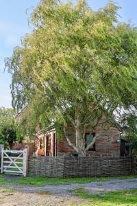 Tranquil and cosy cottage on the Somerset Levels