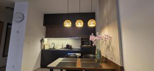 Apartman Royal 733- Zlatibor