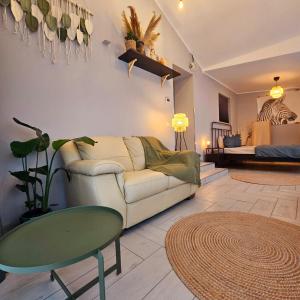 ZIG ZAG Apartment 8- Old Town