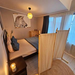 ZIG ZAG Apartment 8- Old Town