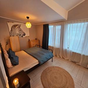 ZIG ZAG Apartment 8- Old Town