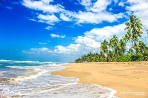 Oasis Ayurveda Resort Wadduwa