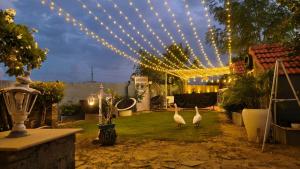 The Promise Land - Nature Retreat