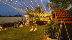 The Promise Land - Nature Retreat