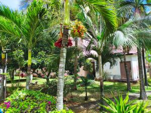 R Garden Fleury Sur Mer Trou aux Biches