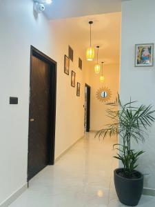 Live Free Hostel Dehradun