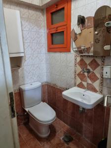 Central Cairo Garden View