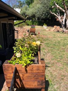 Cozy Cottage on 5th Avenue