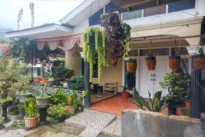 OYO 94841 Alodia Homestay Family