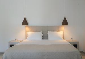 Apademia Comfort Studio 65sqm