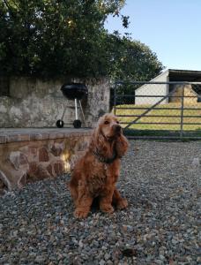 The Barn Square Island