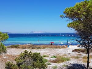 Apartment Resi by Interhome img34