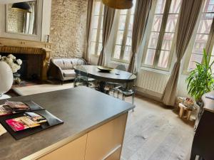 Centre historique de Dijon "Le Lion des Ducs" et "Le Lion des Ducs with Terrace"