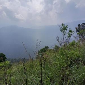FORET Ella Home