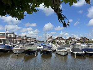 Apartment Oostergeest 2 by Interhome