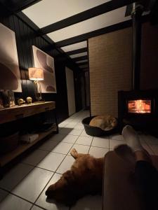 Moderner gepflegter Nr 142 ruhiger Bungalow, Strandnah mit großen, uneinsehbaren Garten, Terrassenüberdachung