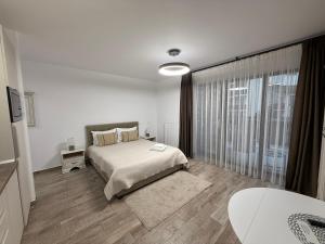 The View Studio Busteni