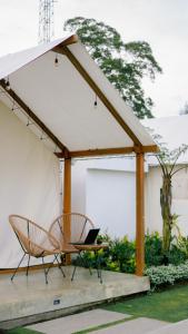 The Kamsha Kintamani