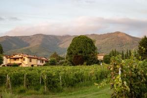 Agriturismo San Jacopo